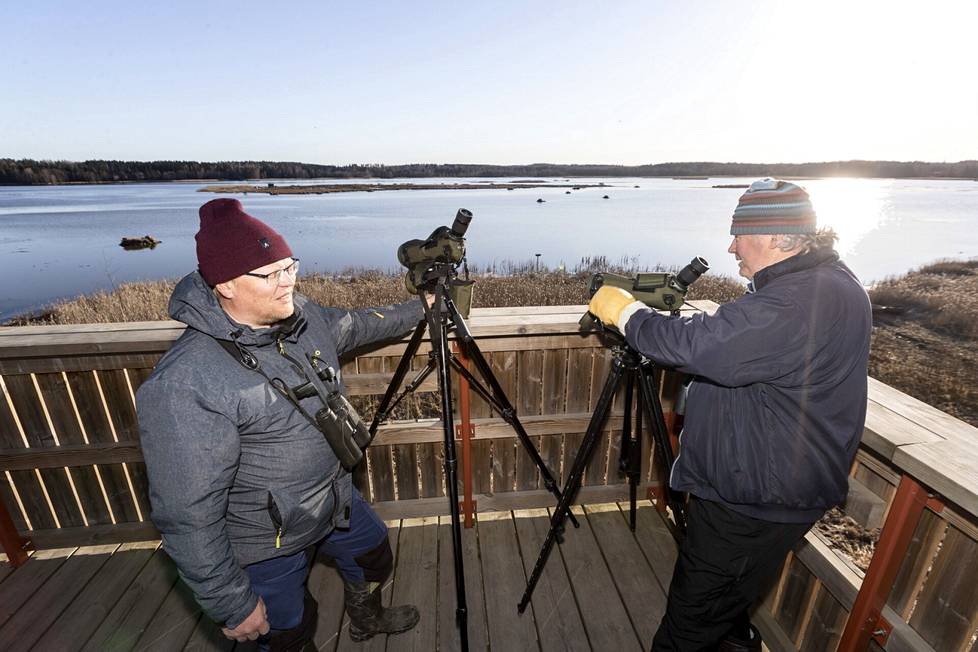 Tatu Itkonen ja Rainer Mäkelä katsoivat viileän aamun lintukattausta Ahtialanjärven lintutornista. Torni on lähellä Lempäälän keskustaa, joten paikalle on helppo tulla.