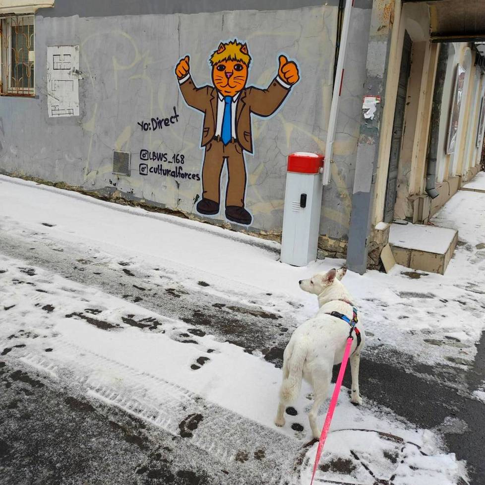 Englannin entinen pääministeri Boris Johnson on maalattu graffitiin kissana. Kadun venäjänkielisiä nimiä muutetaan ukrainalaisiksi, mutta kylttejä ei vielä ole. Seinään on kirjoitettu uusi nimi Britanniankatu. 
