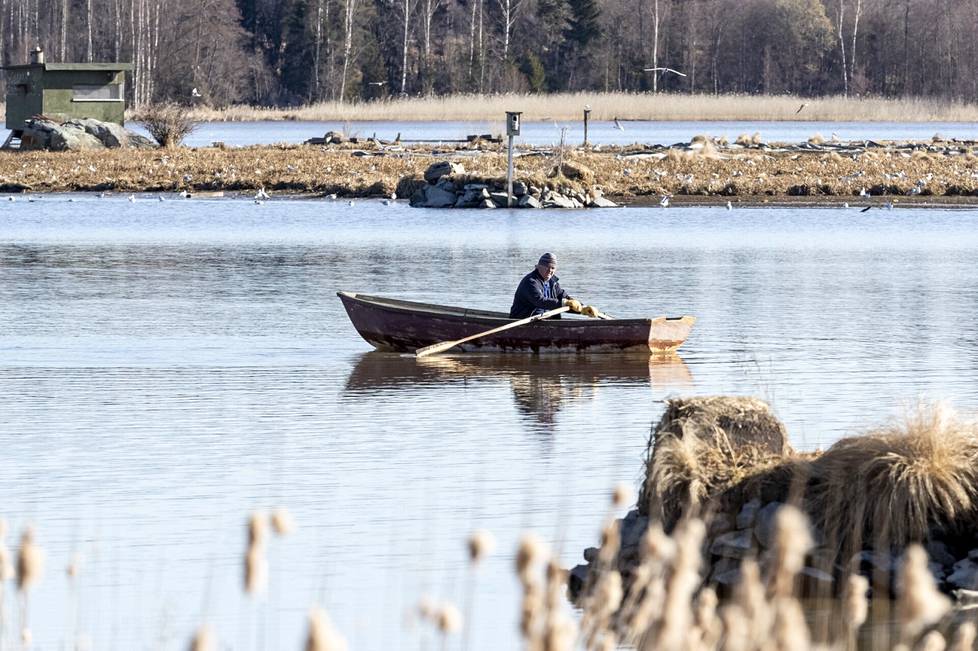 Rainer Mäkelä moves in Ahtialanjärvi by rowing, although sometimes he gets stuck.