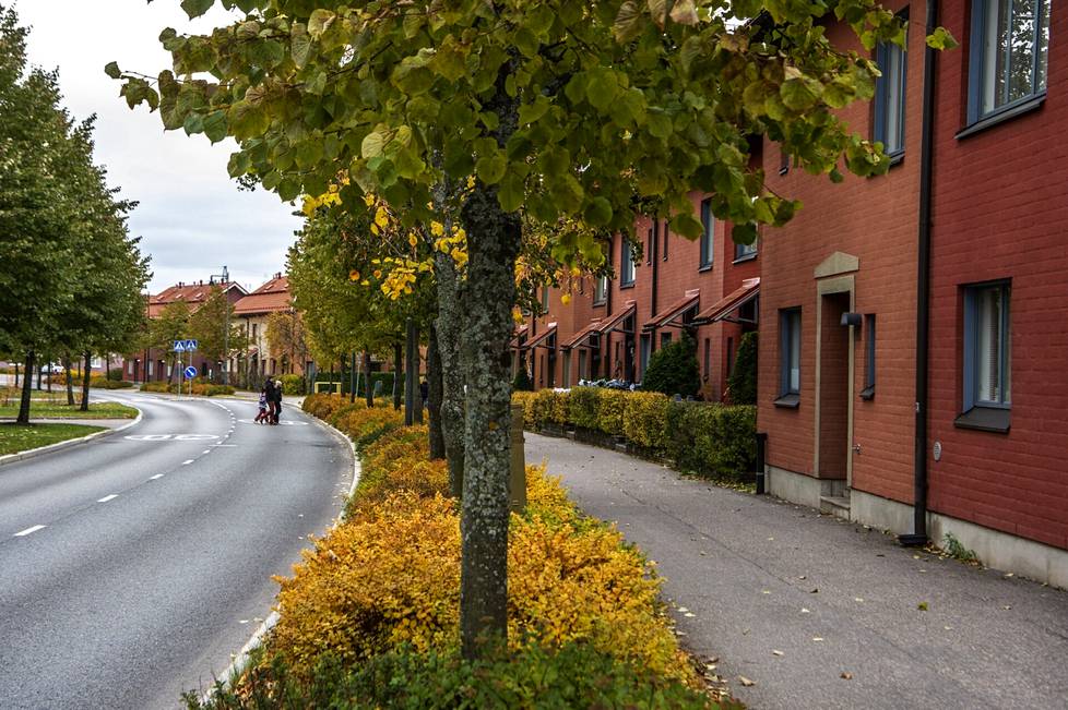 Hagelstamintie garnered praise especially for its colorful houses.