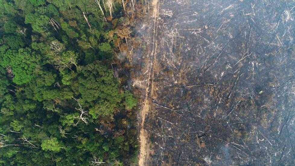 The aerial image shows a rainforest burned by farmers near the city of Apui in Brazil in the heart of the Amazon.  Photo from August 2020.