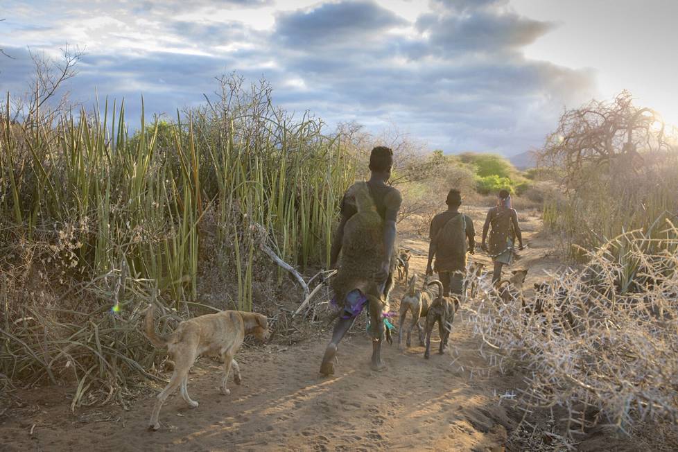 Tunnetuin metsästäjä-kerääjäyhteisö on Tansaniassa elävä hadza-heimo.