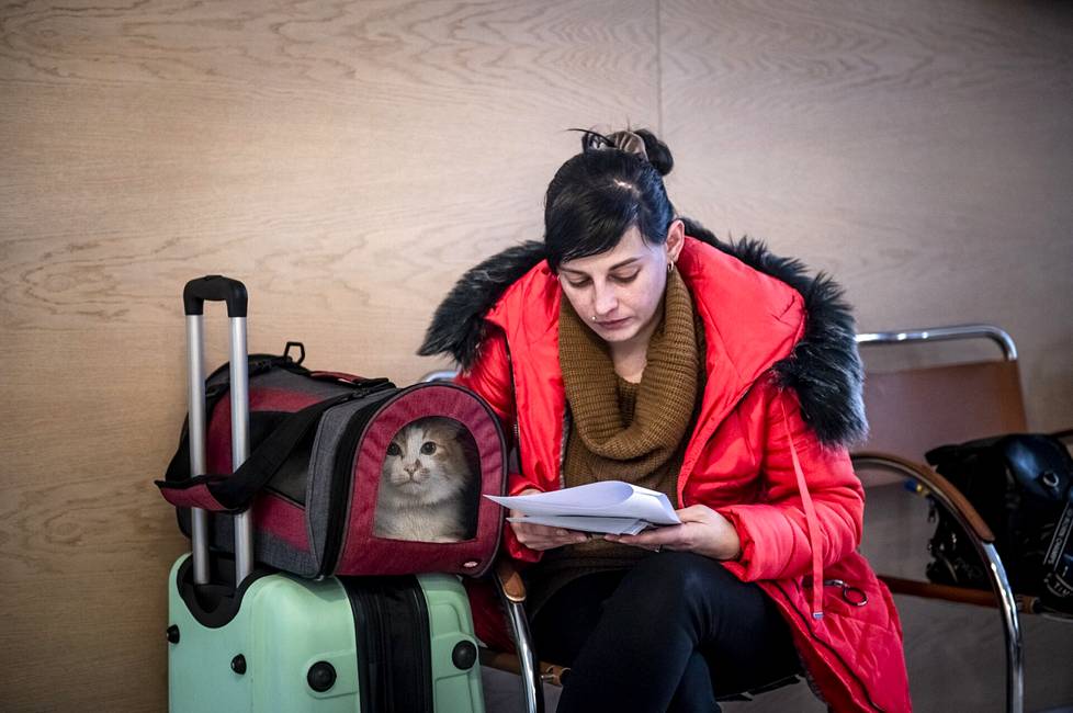 Natalia Bakhmet ja Leo-kissa tulivat Luhanskin alueelta Tallinnaan. Bakhmet lukee Suomen maahanmuuttoviraston ohjeita tilapäisen suojelun hakijalle pakolaisten neuvontapisteessä Tallinnan bussiasemalla.