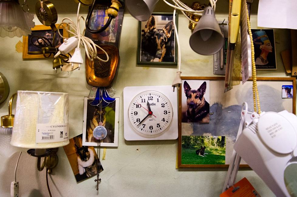 On the wall of the electrical shop, there are photos of Siro's late German Shepherds.  There have been six dogs and puppies in total.  