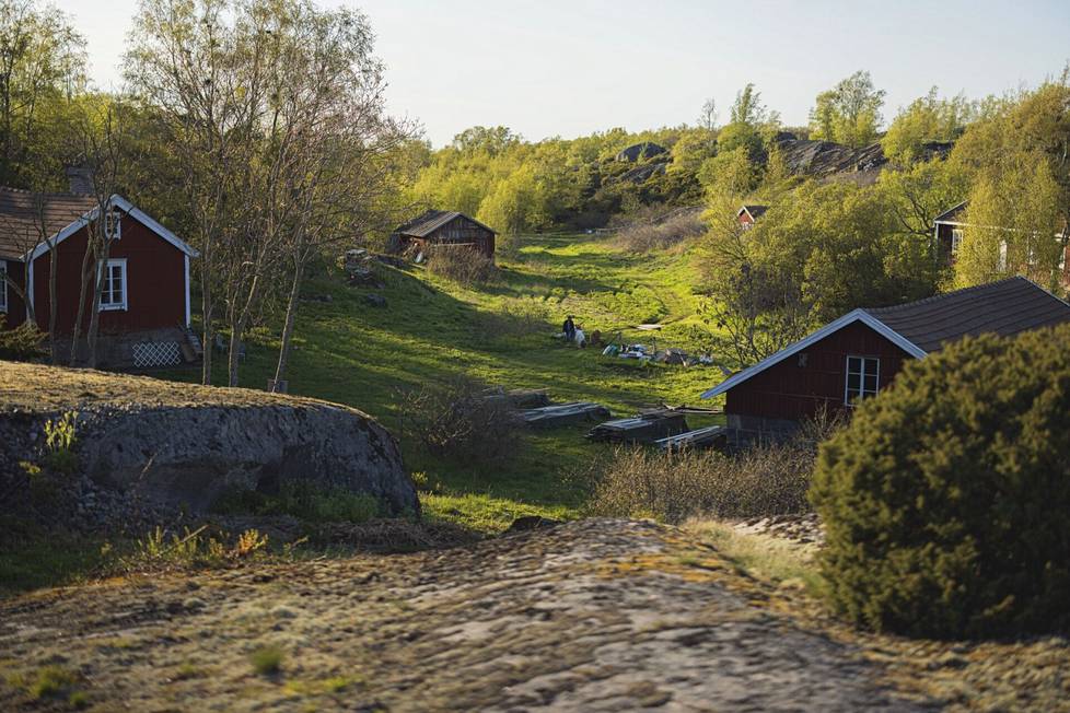 Saaristomatkailu: Björkön saari on paratiisi, jossa voi uida  ulkosaaristossa pahimpaankin sinileväaikaan - HS Turku 