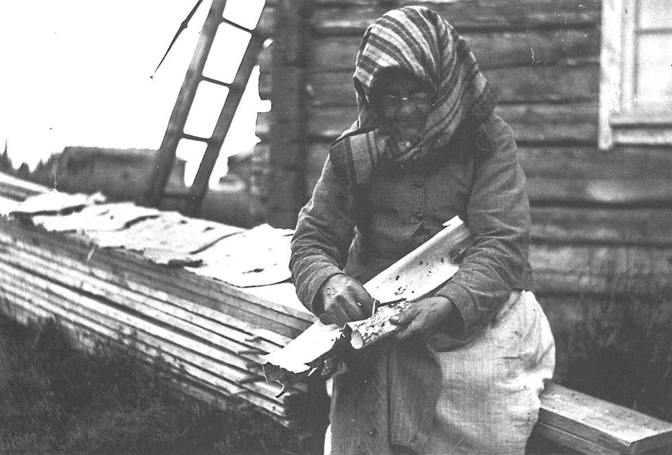 Nainen valmisti pettua vuonna 1917 Taivalkoskella. Ruisjauhojen puutteessa leipää yritettiin jatkaa petun lisäksi oljilla tai jäkälällä. Pettua varten männyn nilakerros irrotettiin, kuivattiin ja jauhettiin.