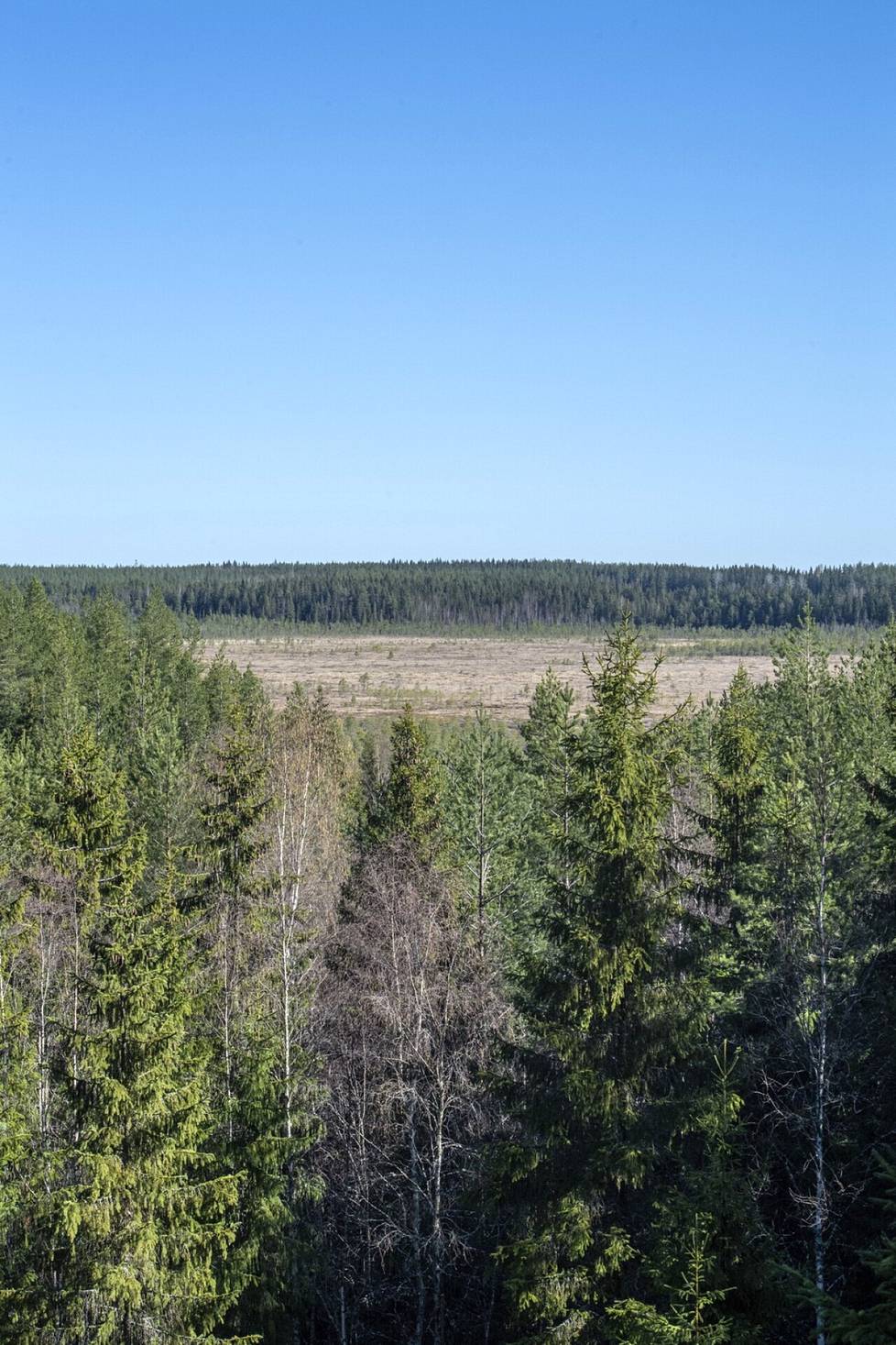 Suojeltu Suurisuo jää UPM:n noin 8 000 hehtaarin tuhannen metsäalueen sisään. 