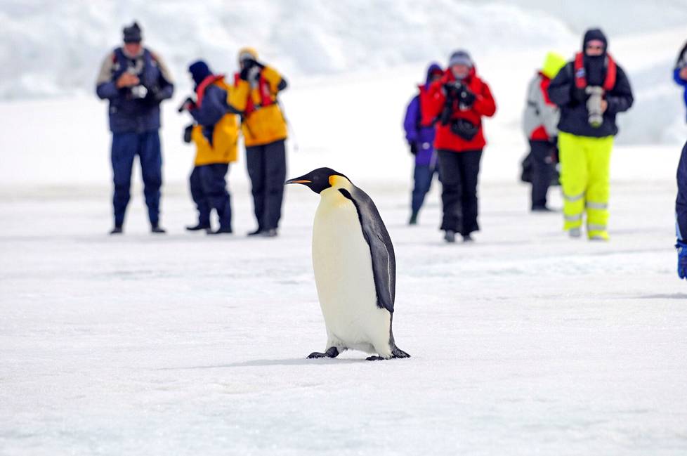 Etelämantereella asti saapuu nykyisin turisteja ihmettelemään pingviinejä.