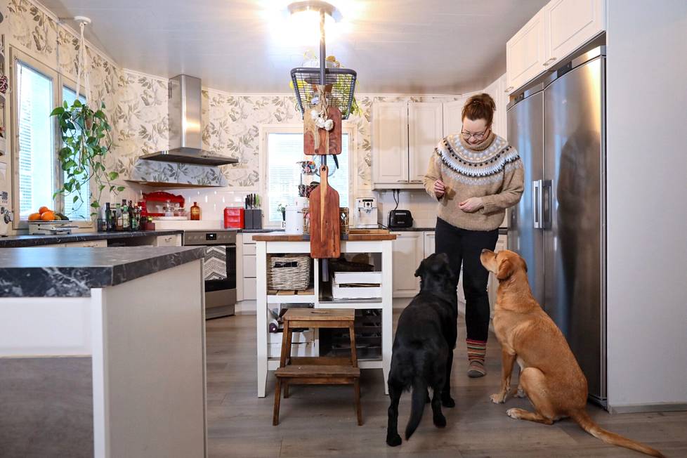 Miia Ahonen päätyi miehensä ja koiriensa kanssa muuttamaan unelmien asunnosta remonttia vaativaan taloon. Muutama oivallus on auttanut säästämään pintaremontissa tuhansia euroja. 