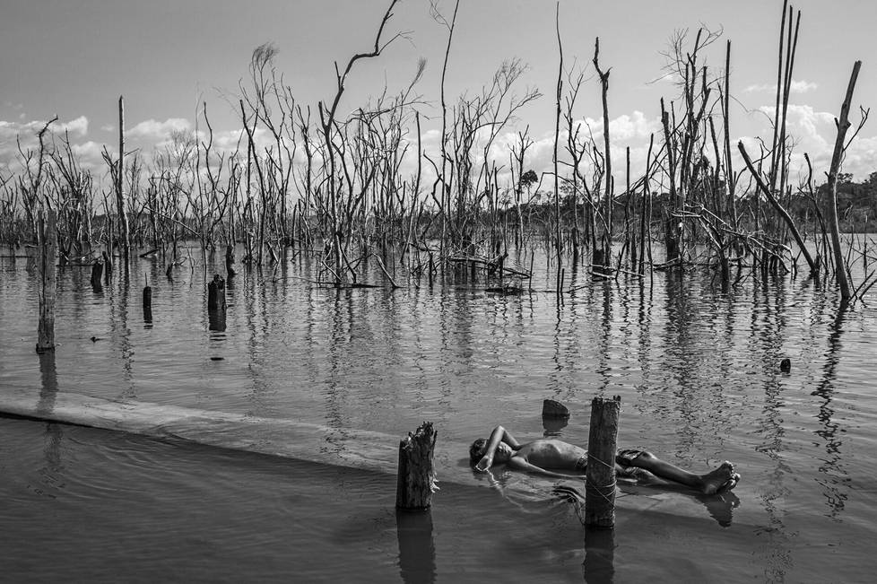 Puunrungolla lepäilevä poika Xingu-joella Paratizãossa lähellä Belo Monten vesivoimalaa 28. päivä elokuuta 2018. Patoaltaan alle jääneiden puiden rungot ympäröivät lepäilijää.