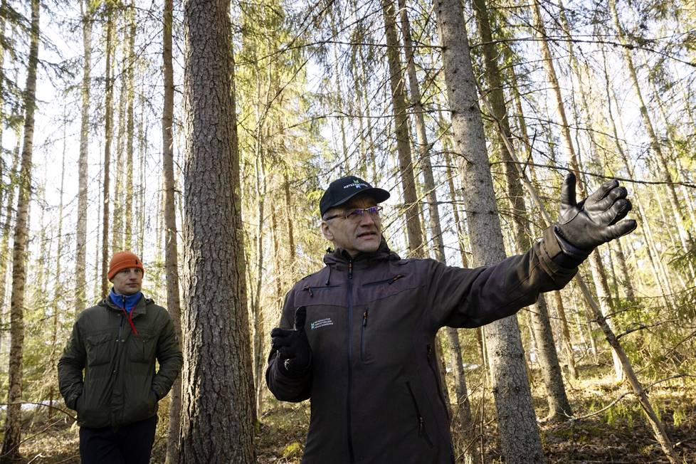 HS pyysi metsäkartoittaja Ari Aallon ja toimitusjohtaja Jussi Kumpulan samaan metsään.