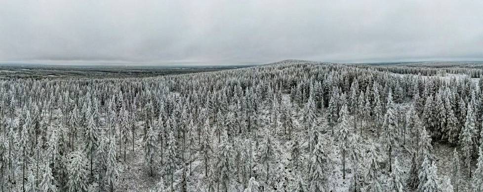 Suomen metsät eivät sido ilmasta hiilidioksidia yhtä paljon kuin aikaisemmin. Ne ovat  edelleen hiilinielu, mutta aiempaa pienempi. Kuvassa Iso Kärväsvaaran maisemaa Misissä Kemijärvellä. 