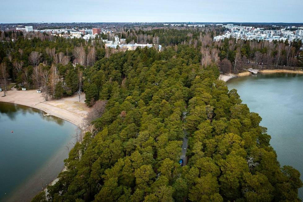 Ehkä vuonna 2023 voimaan tuleva maankäyttö- ja rakennuslaki saattaa lisätä kiistoja viheralueista. Kuva Helsingin Kallahdenniemeltä, jonka kulutuksen epäillään lisääntyvän kaavamuutoksen takia. 