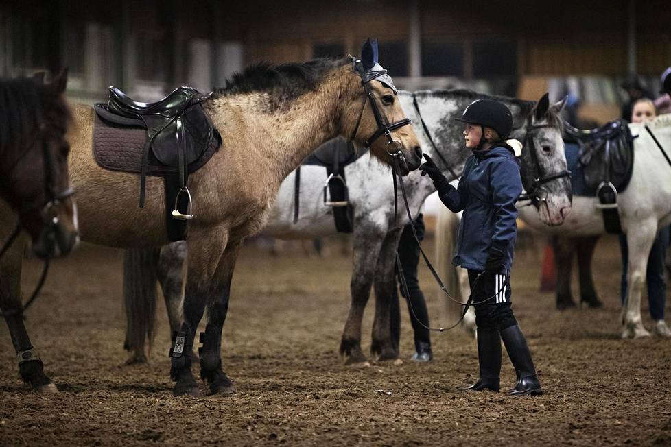 Ella Mäkinen, 10, taputti Dana-ponia ratsastustunnin jälkeen Husön ratsastuskeskuksen maneesissa.