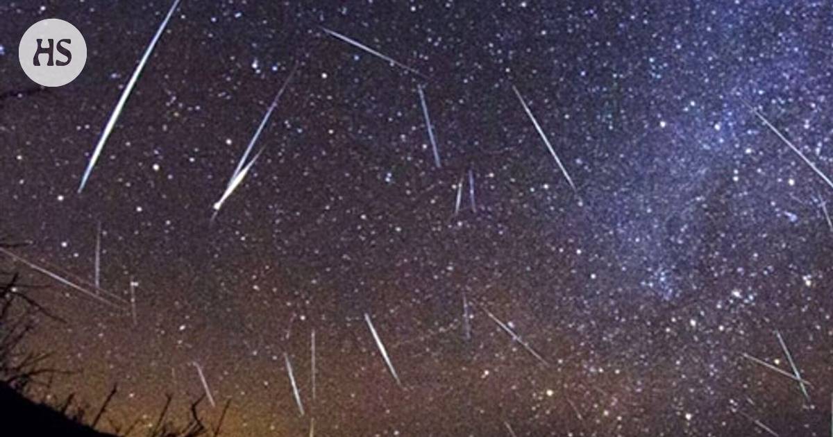 The Perseids will soon fill the sky The Observatorial