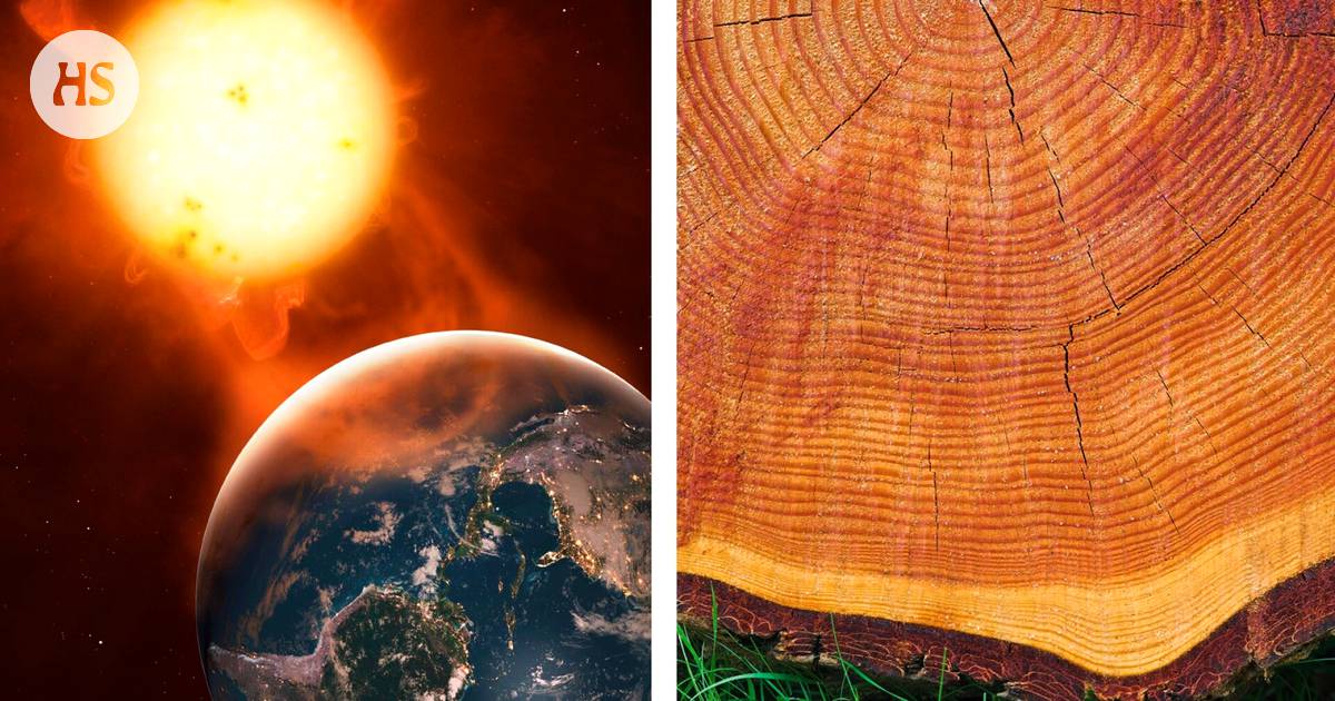The summer of 2023 broke records as the hottest in two thousand years