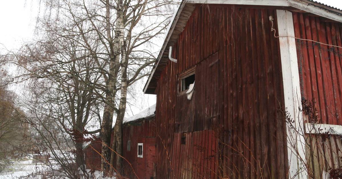 Paraatipaikalle hylätty hevostalli kiinnostaisi vuokraajia, mutta  rakennukset mätänevät pystyyn - Espoo 