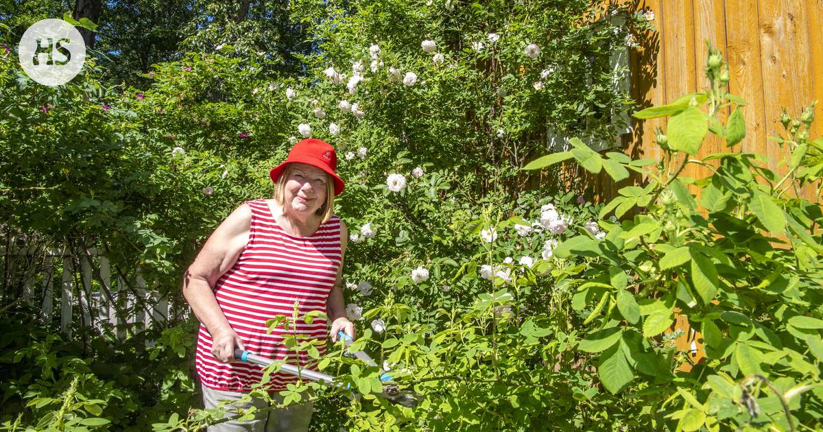 Merva Mikkola on nähnyt liki kaiken: Hän on tavannut John Lennonin, istunut  poliisiautossa pässin kanssa ja katsonut, kuinka kotikartano palaa taivaan  tuuliin - Espoo 