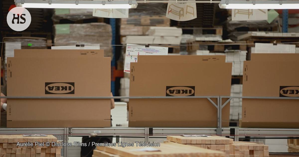 The news documentary reveals: Ikea claims to operate responsibly, but the truth is quite different