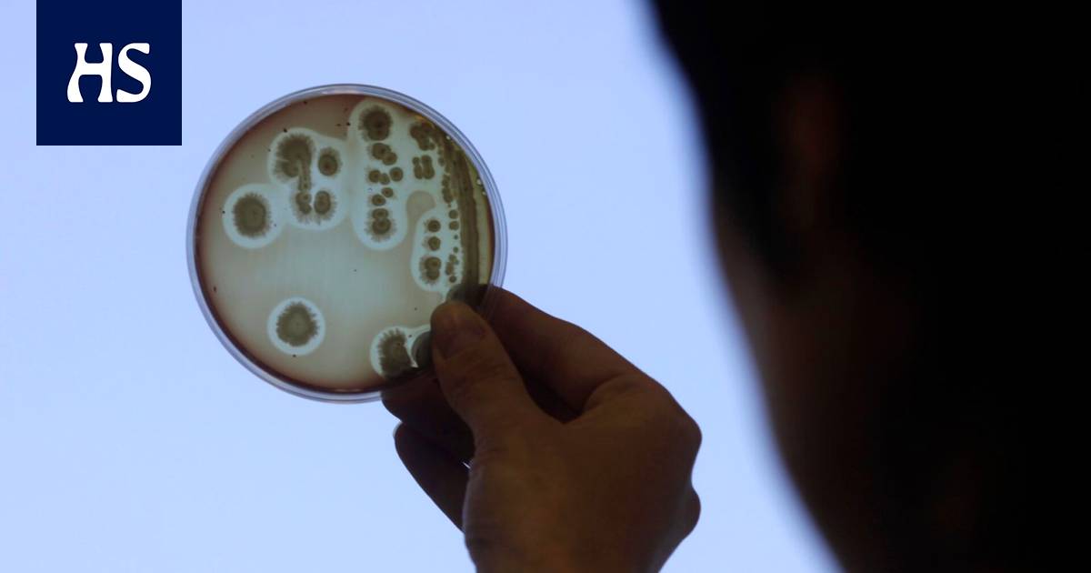 BBC: Artificial intelligence screens an antibiotic that kills superbugs in an hour and a half – Foreign countries