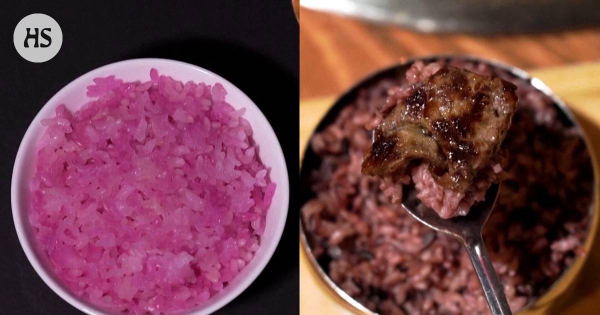 Scientists create beef and rice dish