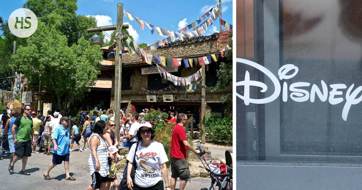 Disney denies involvement in the death of a woman at its resort: the Disney+ terms of use are the basis