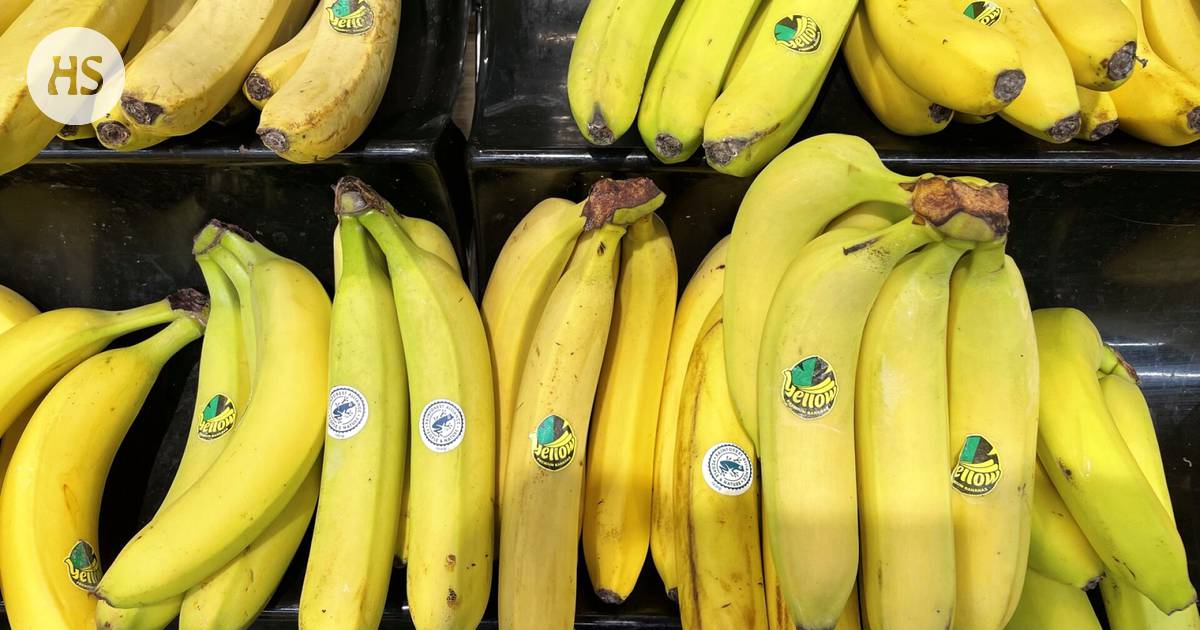 Strike won’t lead to food shortage as stores have over a million kilos of ripening bananas