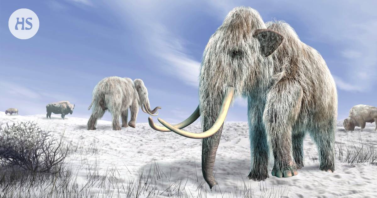 Progress Made in Revival of Mammoths