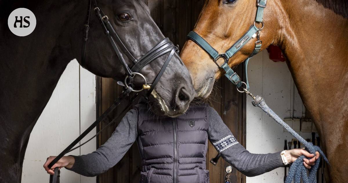 At the age of 27, racing rider Susanna Therman manages one of Finland's largest equestrian centers.  “We sold everything we put up for sale at the time.”  – HS Vision