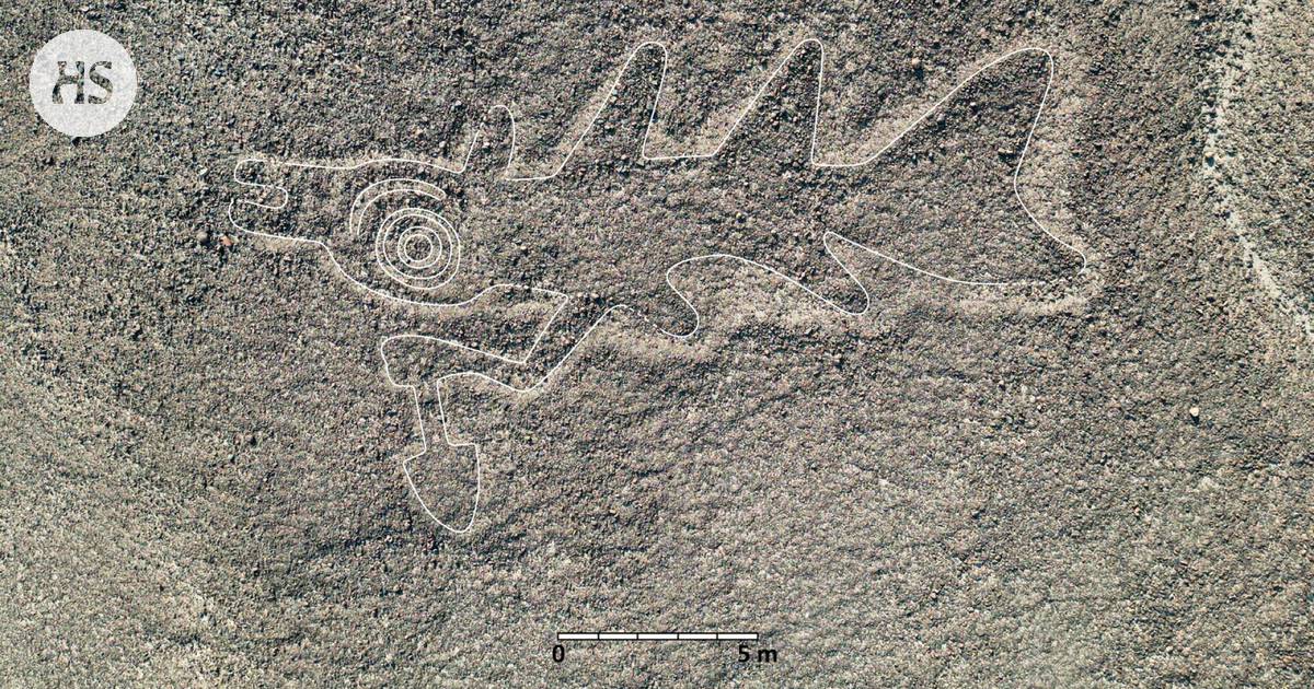 Hundreds of thousands of years old giant pictures were found in the desert – One of the biggest mysteries of archeology