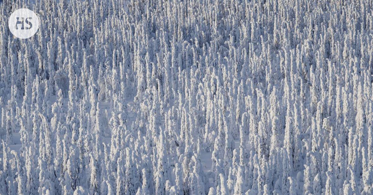 Pakkasennätys rikki Muoniossa, lumisateet saapuvat Suomeen sunnuntaina -  Kotimaa 