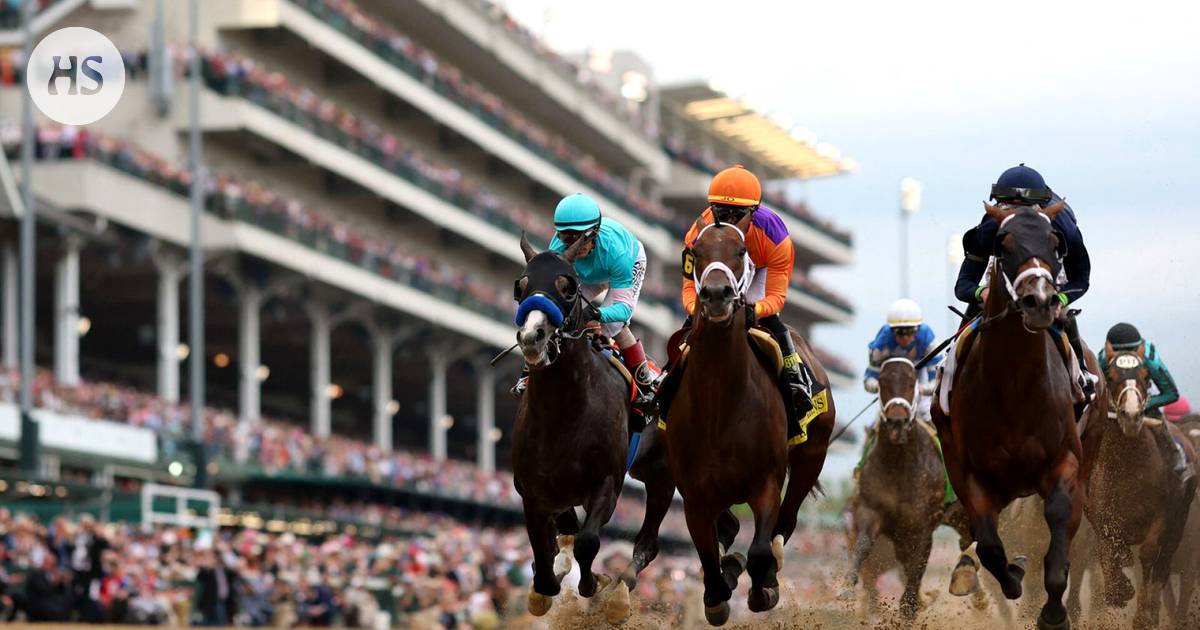 Seven horses died in connection with the Kentucky Derby classic race