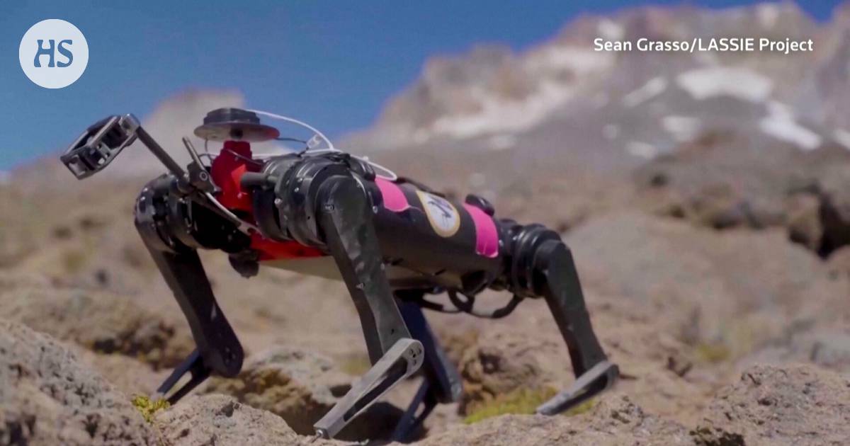 What Nasa’s Mechanical Dogs for the Moon Could Look Like
