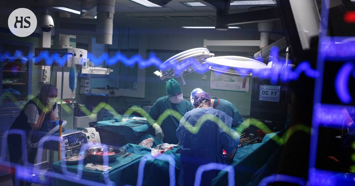 Man Receives Pig Kidney Transplant in Landmark Surgery
