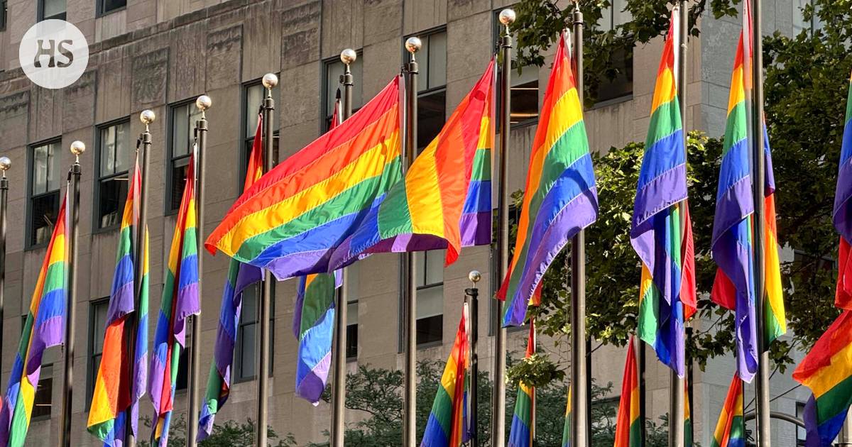 The rainbow flag has been joined by new versions – “The traditional flag has not lived up to its time” – Culture