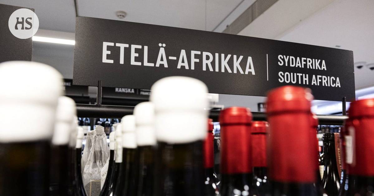 Finnwatch: Alkon viineissä käytetään rypäleitä tiloilta, joilla on useita  vakavia puutteita Etelä-Afrikassa - Kotimaa 