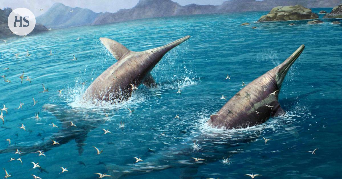 Scientists have identified perhaps the world's largest marine reptile from fossils – Science