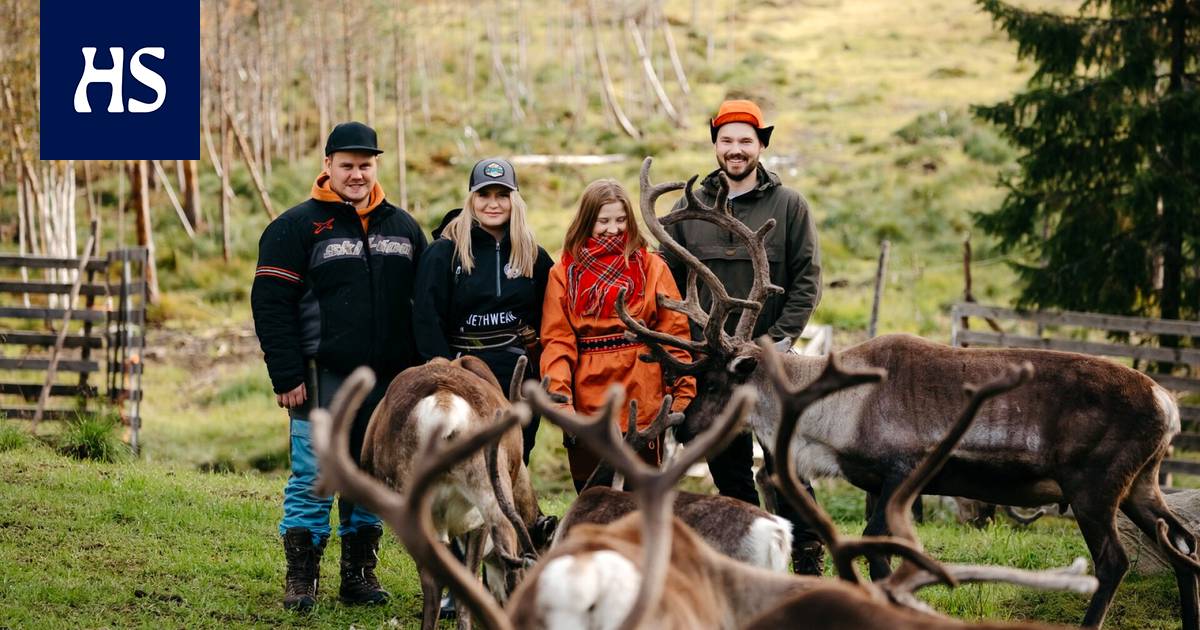The new series gives a peek into the lives of young adults who take care of reindeer – Kulttuuri