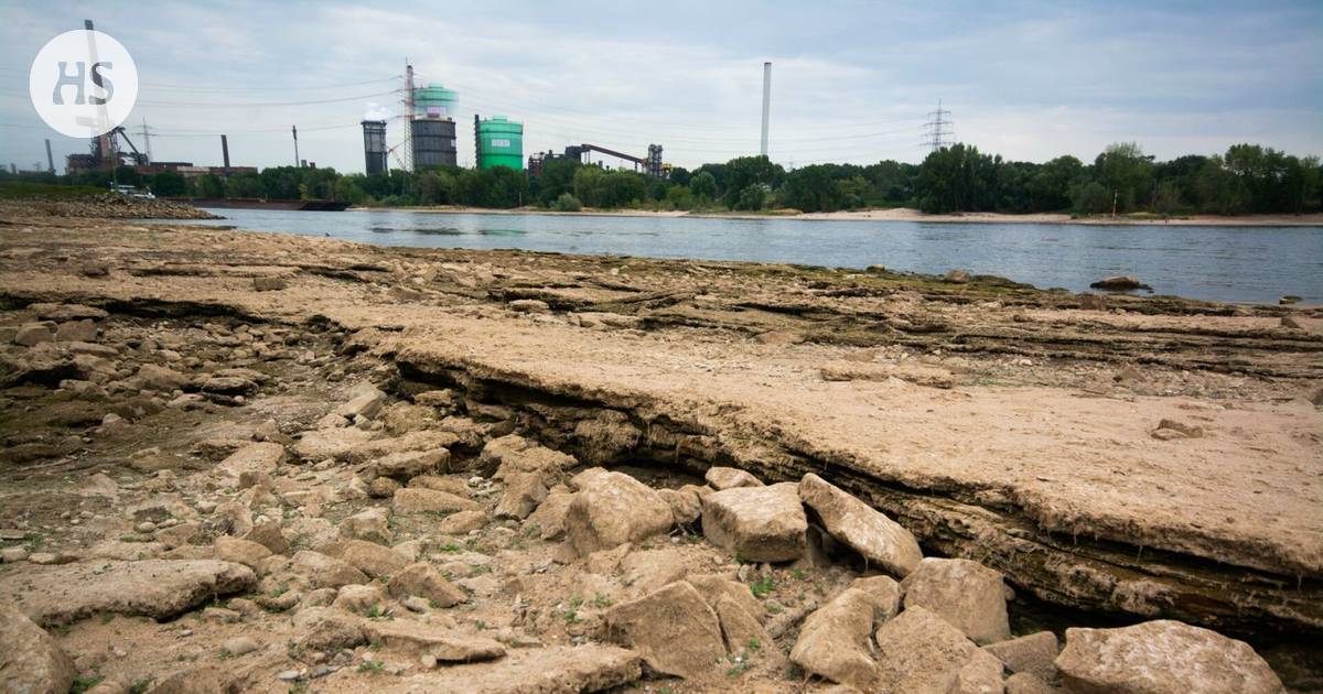 New difficulties threaten Uniper as the water level of the Rhine continues to fall – Commercial water traffic may end in just a few days