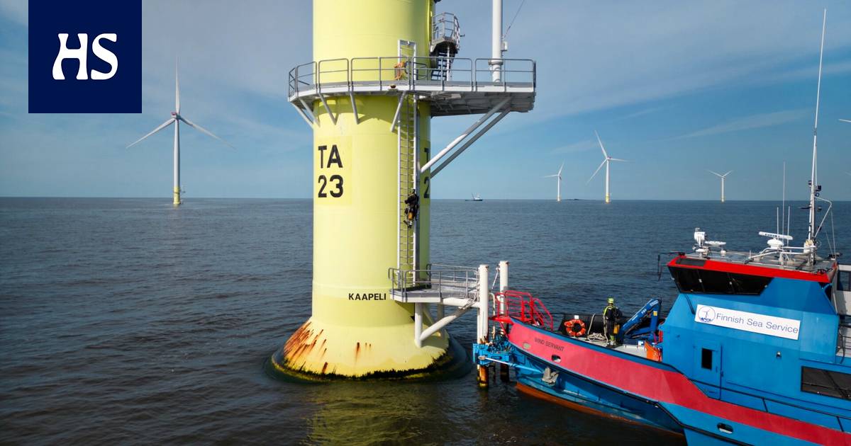 How did wind power subsidies reach 100 million euros last year despite industry sustainability?