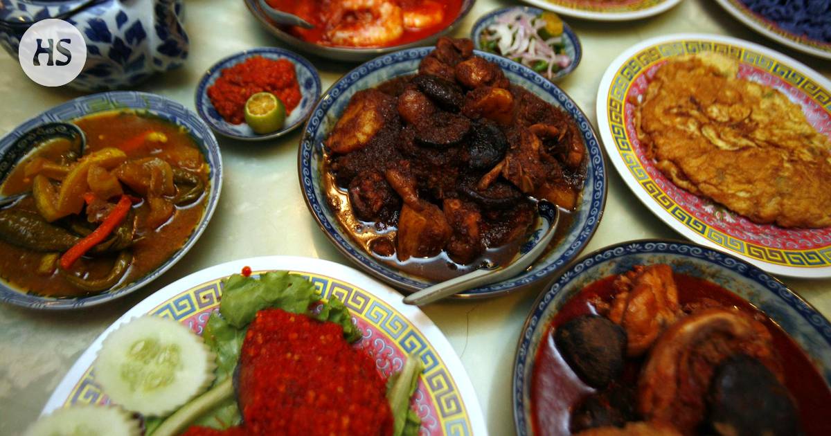 Oletko halunnut maistaa malesialaista ruokaa? Tänään se onnistuu  Ruttopuiston ruokatorilla - HS Nyt 